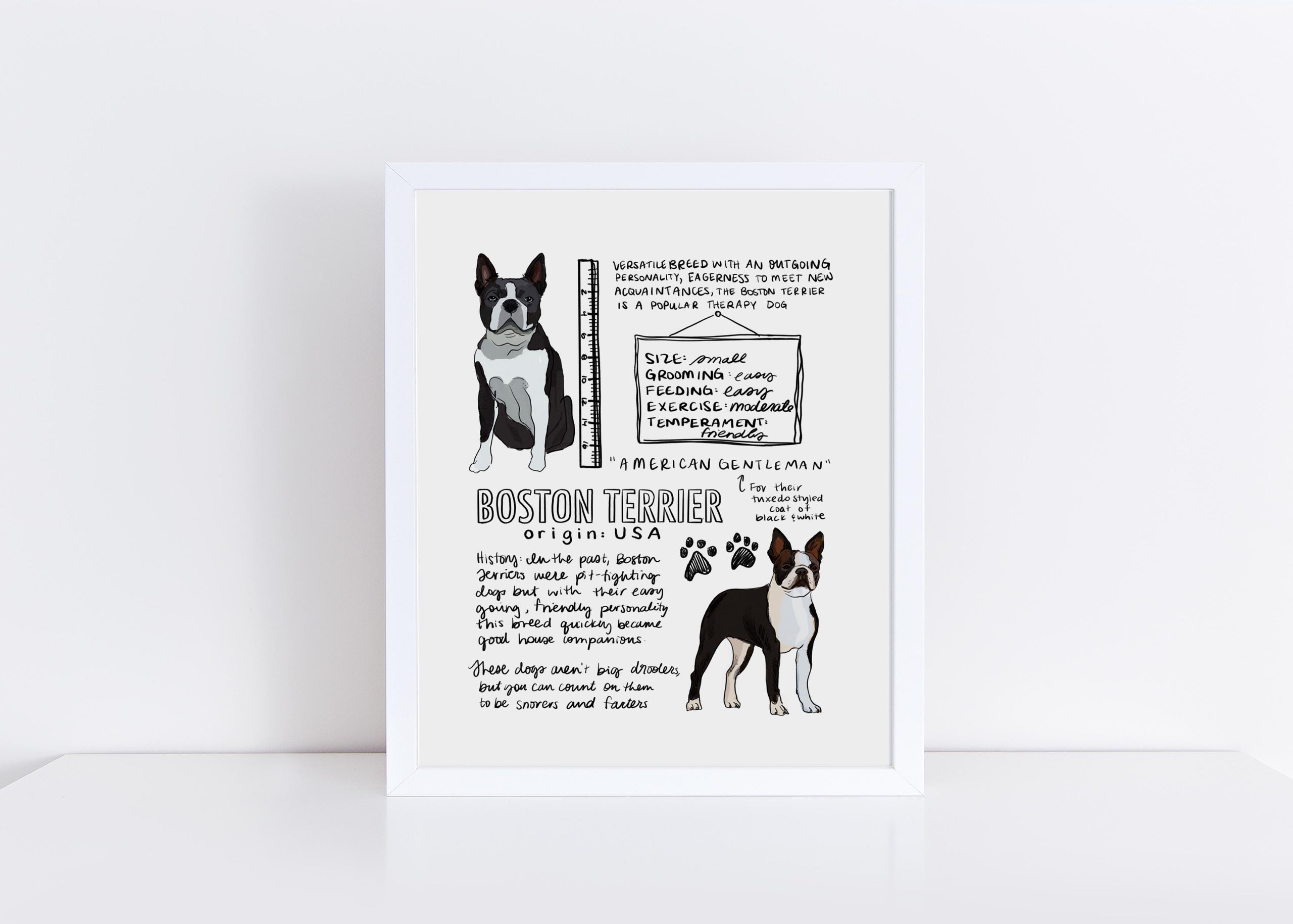 Boston sales terrier coat